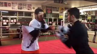 Dreamland Boxing: Training highlights