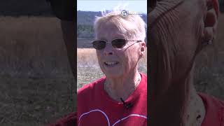'They were wonderful' Crews contain Sevier County fire