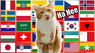 "Ha Hee" in 70 Languages Meme