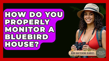 How Do You Properly Monitor A Bluebird House? - Bird Watching Diaries