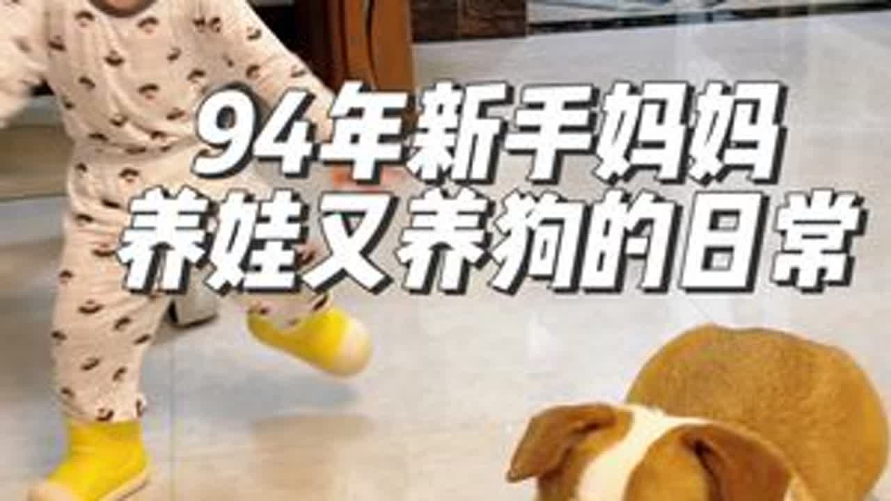 这些视频可以等着弟弟长大以后再慢慢回忆~一定很美好#宝宝和狗