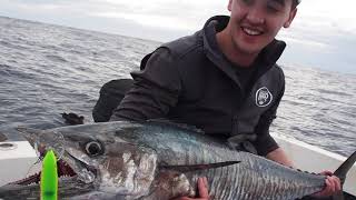 NEW COLOUR SLAYS MACKEREL - LUMO