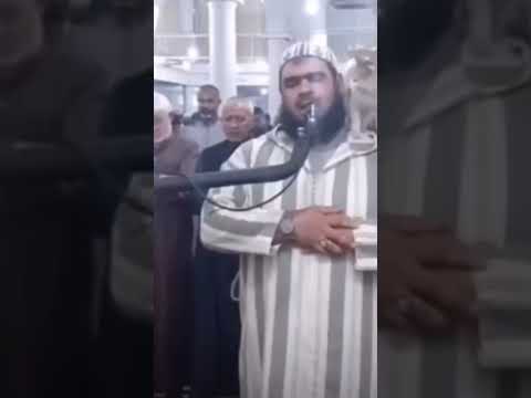 الكل في حضرة الله آمن 