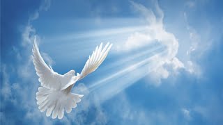 AM-96 · Incarnation Cycle II · The Pathway After Life · Afterlife Journey