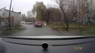 Кривой Рог. Собака - в мусорном баке сидяка Кривой Рог. Собака - в мусорном баке сидяка