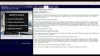 Bacterial Identification Virtual Lab   HHMI's BioInteractive   2022-03-30