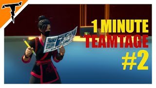 Diva Fortnite Montage 1 Minute Team Tygar