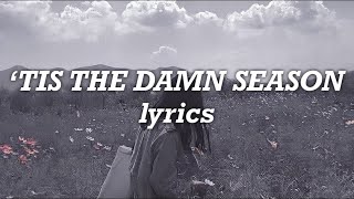 Taylor Swift - ‘Tis The Damn Season (Lyrics)