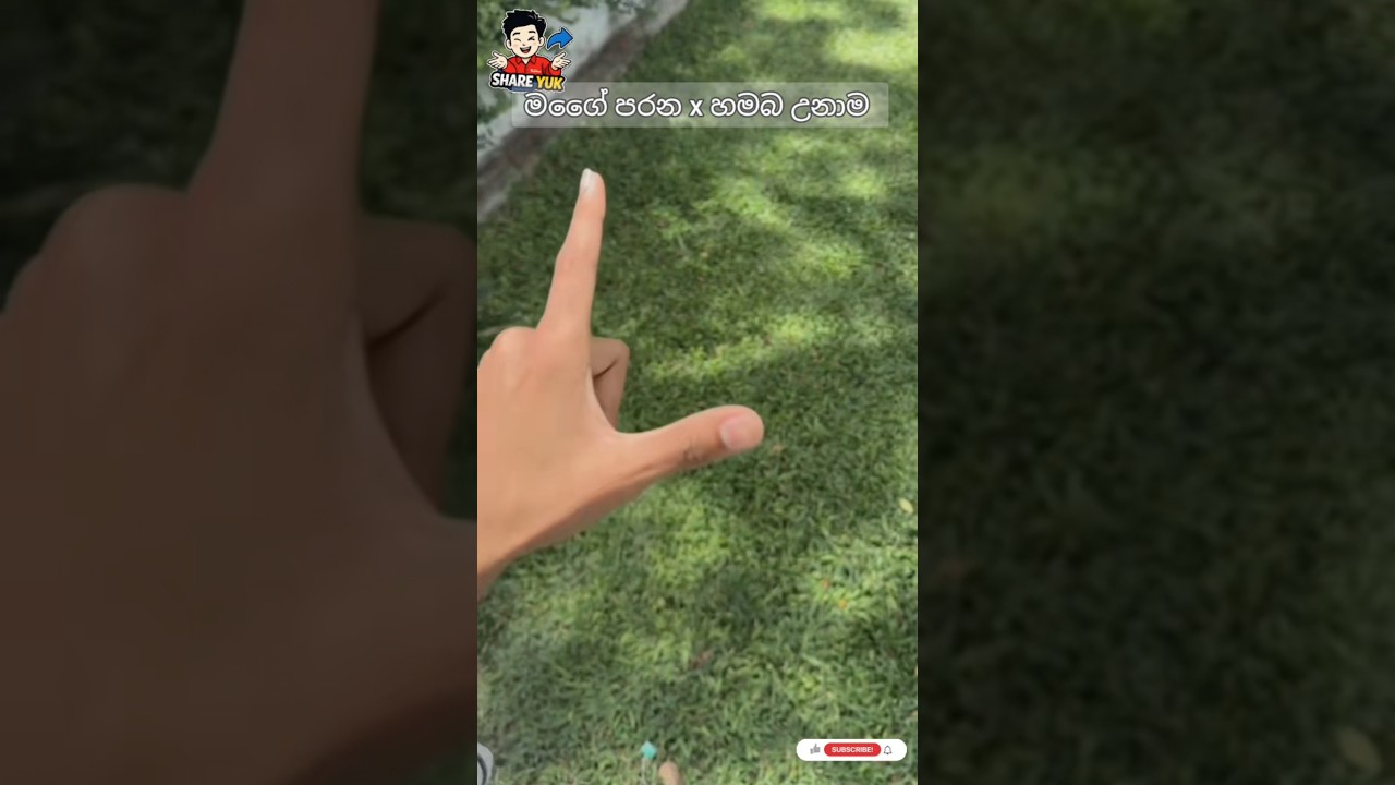 කලින් x ගෙන් ගත්ත පටිට ආතල් එක 🤣🥰#fypシviral #trendingreels #trending #trend #shortsviral #tiktok