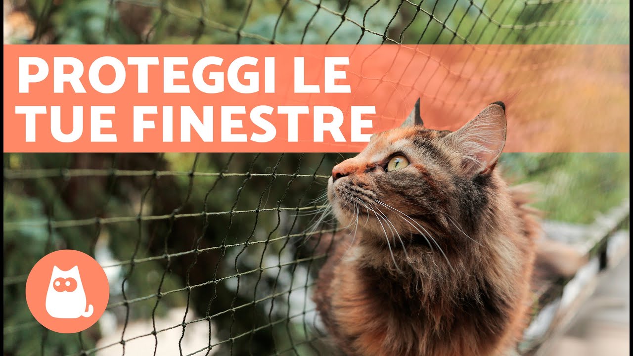 RETI DI PROTEZIONE per GATTI 🪟🐈 Proteggilo da possibili cadute!