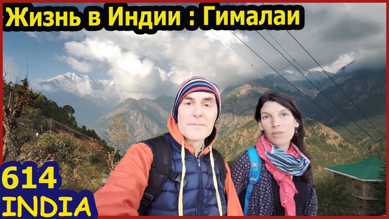 Индия Деревня в Гималаях Тибетская Еда и Японская Кухня Дхарамсала ...