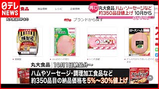 【丸大食品】ハムやソーセージなど値上げへ  今年2回目