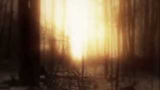 Silent Creatures - The Sun