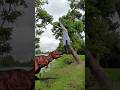 Dinosaur Attack Scene #vfxshorts #viral #dainosor #animalattack #shortvideo #shorts #trending