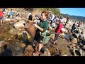 Community Fishing in Ego Valley Arunachal Pradesh