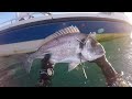 Pesca submarina - Diciembre en Hondarribia