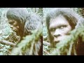 What Bigfoot Really Is David Paulides Reveals The Evidence 