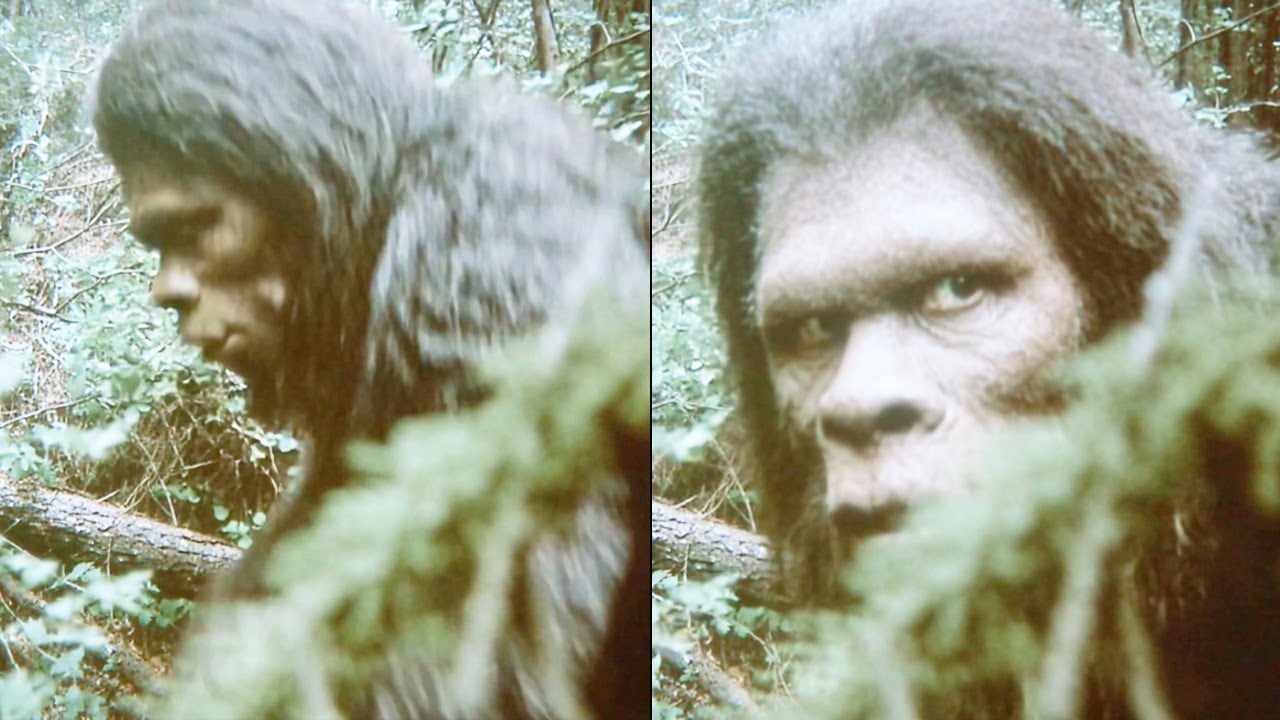 What Bigfoot Really Is...David Paulides Reveals the Evidence