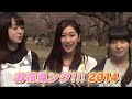 お花見ング!!! 2014