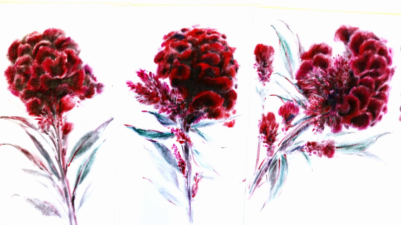 はがき絵 クレパスで描く ケイトウの花 - YouTube