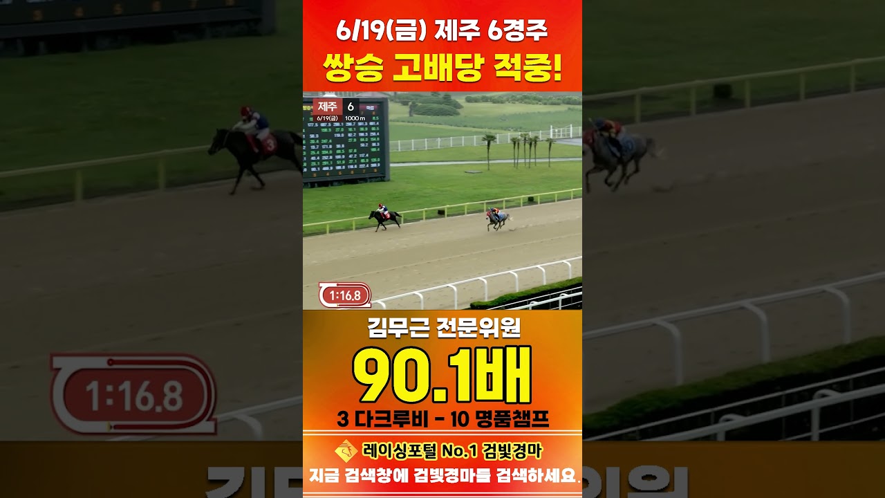 [제주 경마] 6월 19일 금요 6경주 김무근 전문위원 쌍승 고배당 적중 #하이라이트 #horse #한국마사회 #automobile #경마 #riding #뉴스 #게임 #말