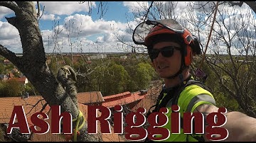 Ash rigging