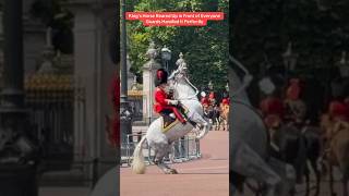 King’s Horse Reared Up in Front of Everyone , Guards Handled It Perfectly