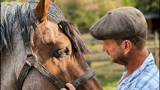 Could Thomas Help Horses of the Future
