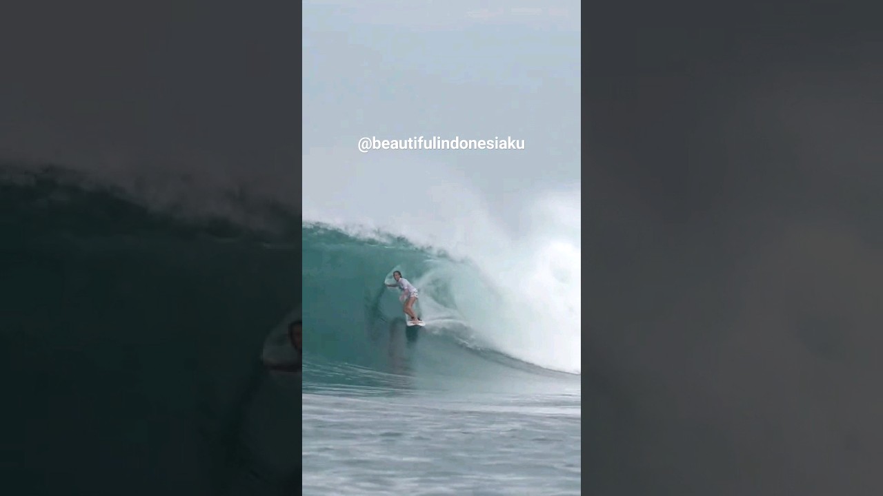 Surf lessons from experienced Surfer 