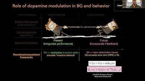 Striatal dopamine waves as a mechanism for spatiotemporal credit assignment