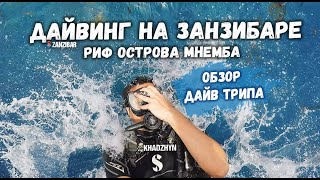 Дайвинг на Занзибаре | Риф острова Мнемба | Обзор дайвинг трипа