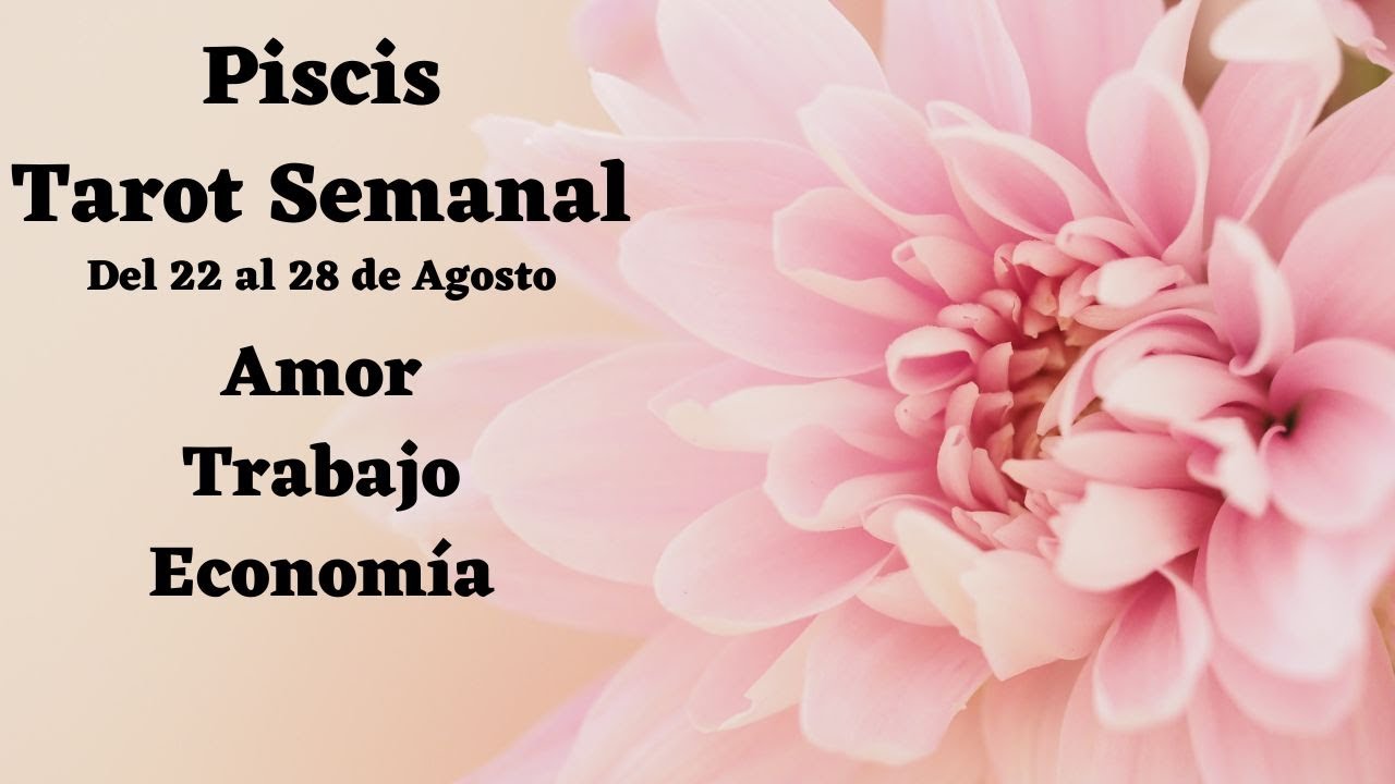 ♓ Piscis Tarot Semanal 22 al 28 de Agosto Te extrañan 🥺💔💕 Abundancia 💰😱 ...