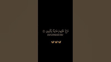 سورة الصافات / القارئ ريان المحيسني / تلاوة خاشعة تريح سمعك