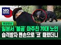 산나물 캐다 만난 '불곰'에 코 때려 격퇴 "가능하면 가지 마" (현장영상) / SBS