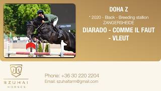 Diarado X Comme Il Faut 2020 Approved Stallion Horse For Sale