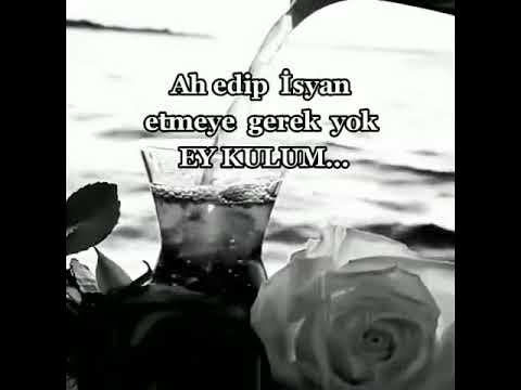 barbie ve kız kardeşleri at binicilik okulu