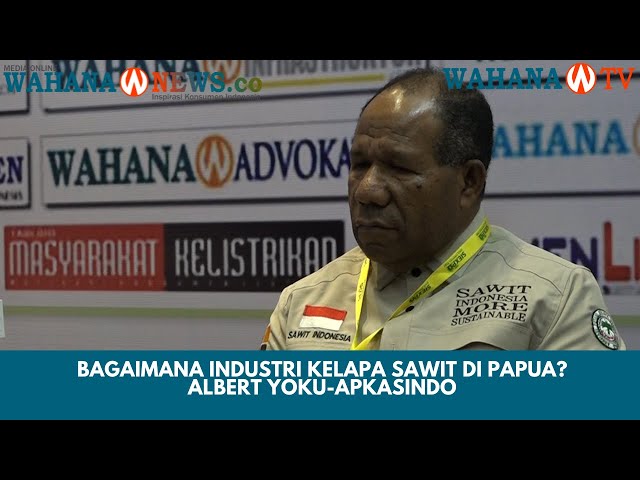 Bagaimana Industri Kelapa Sawit di Papua? - Albert Yoku