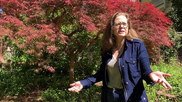 Encouraging Contributions Tip #3: Developing Consensus