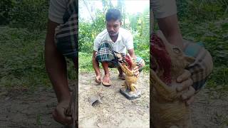 Mouse trap with fox sculpture 02 #survival #farming #hunting #animals #rattrap #skills #viral