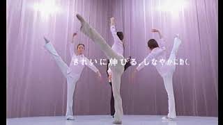 ユニクロ　美脚パンツのＴＶ－ＣＭ（2004年）