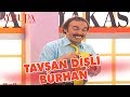 Tavşan Dişli Burhan - Avrupa Yakası