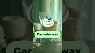 Carnuba wax by James Wild Herbs #jameswildherbs #natural #carnubawax