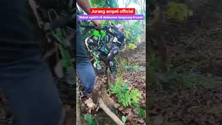 Nekat Ngetril Di Dedaunan Langsung Grubyak