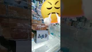 波動ねじれ取れたロング 僕のヒーローアカデミア