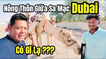 Cuộc Sống Dubai - Nông Thôn Dubai Có Gì Lạ - Cuộc Sống Giữa Sa Mạc Dubai