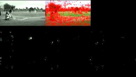 Visualization of MBH feature (HVC703) (Batting in run)