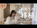 【不妊治療④】胚盤胞のグレードは?|初めての移植レポ|結婚6年目アラサー夫婦