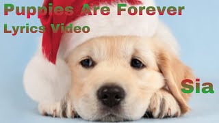 Puppies Are Forever (Lyrics Video) - Sia