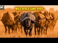 सैंड नदी मै जंगली जानवर कैसे रहते है | Wild Africa Sand River | World Documentary HD