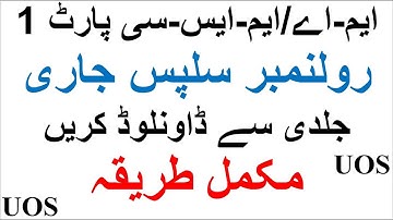 Download Your Roll No Slips | BA/BSC/MA/MSC Part 1 | UOS | Complete Method | Must Watch